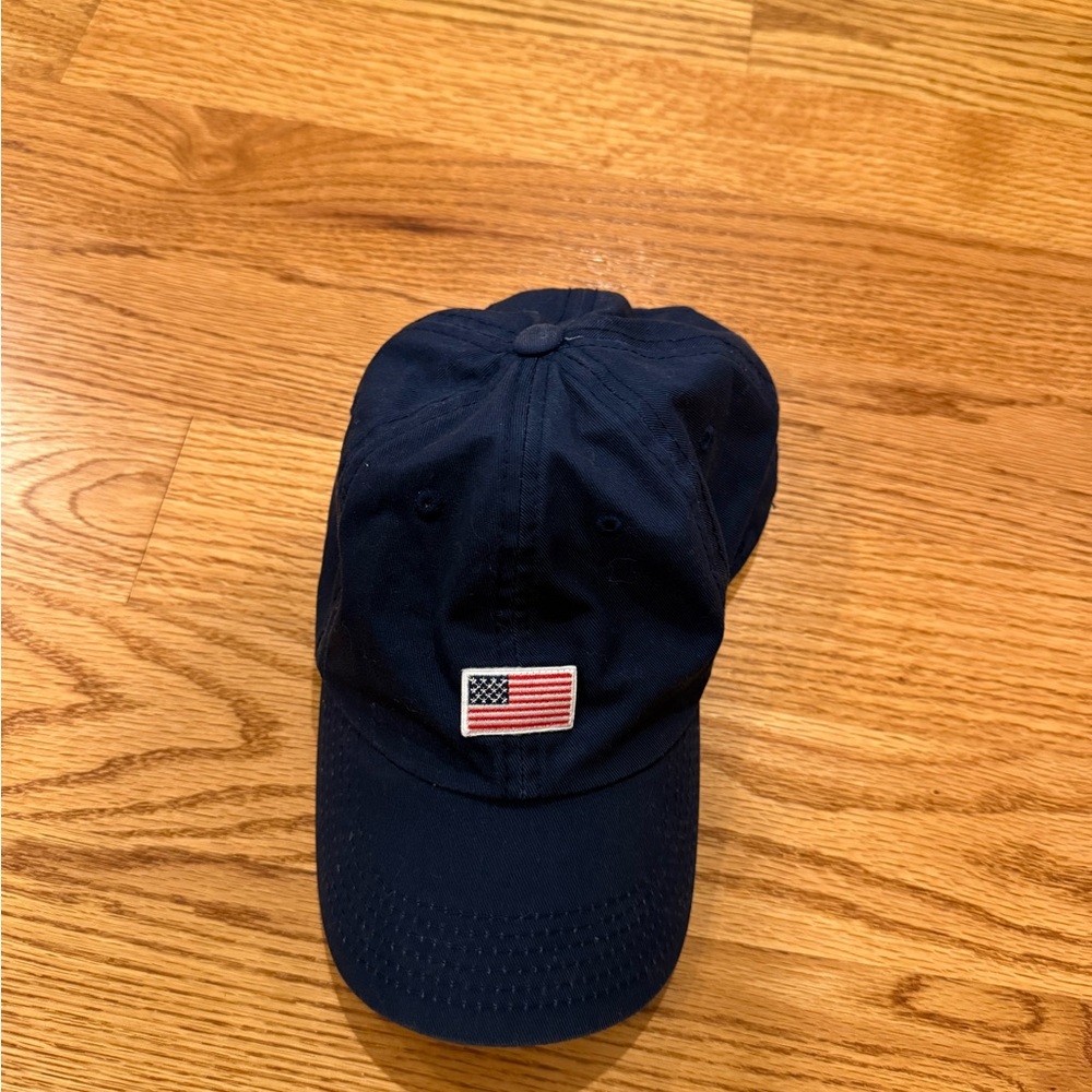 Chubbies the American flag dad hat